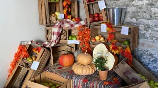 Apple Festival 2026 at Kyperounda