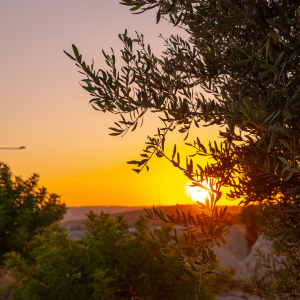Pissouri