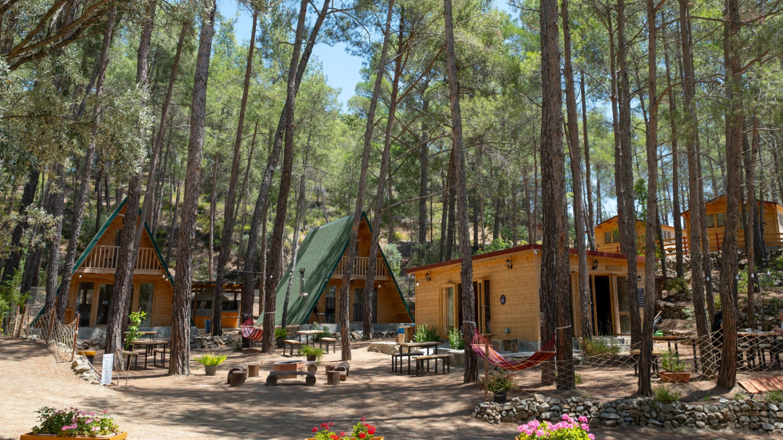 Aetofolia Nikola's Forest Houses