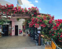 The Rose Factory