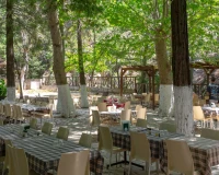 Psilo Dendro Restaurant